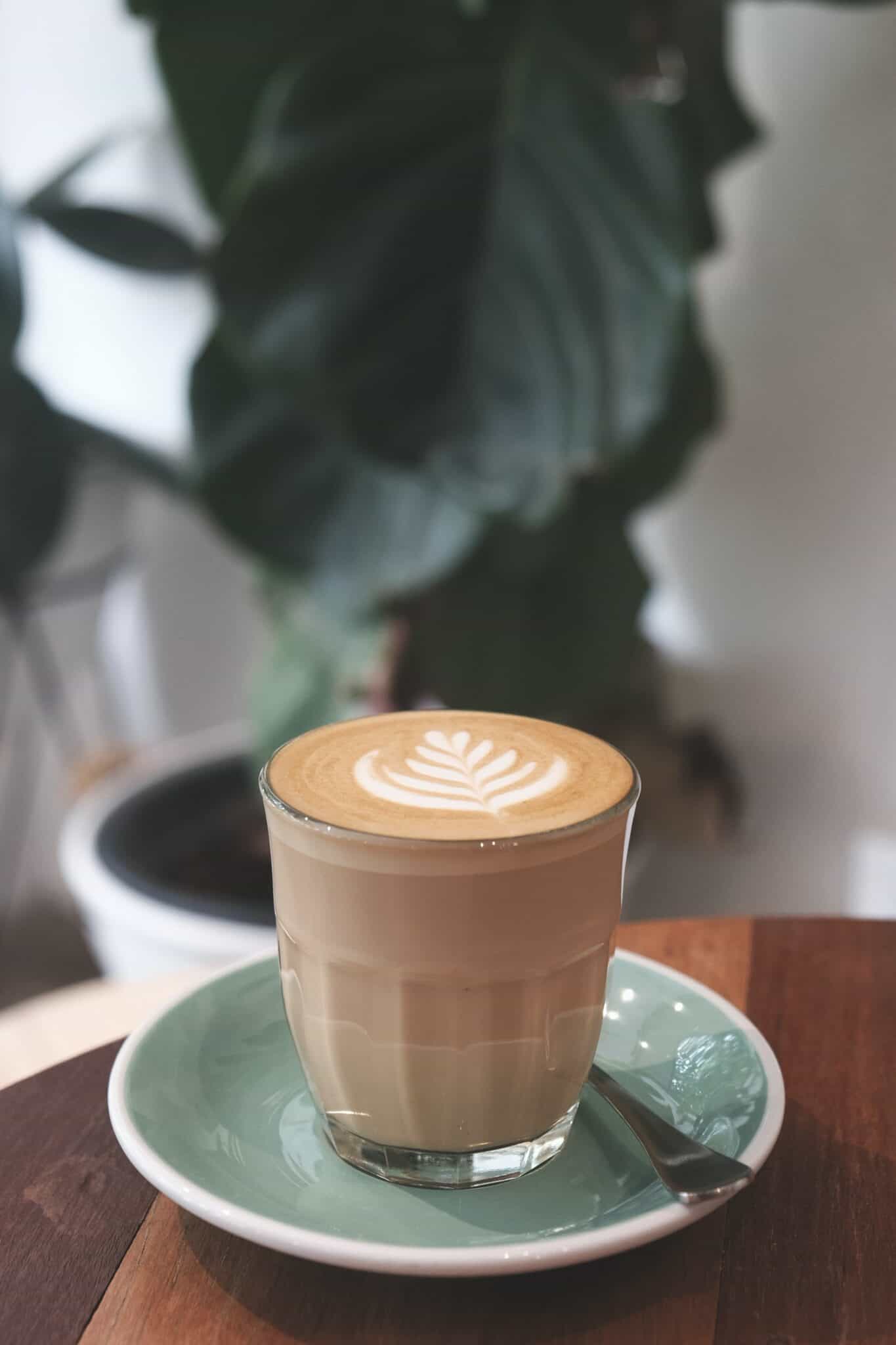 What is a Cortado? (And How to Make One) - Espresso Insiders