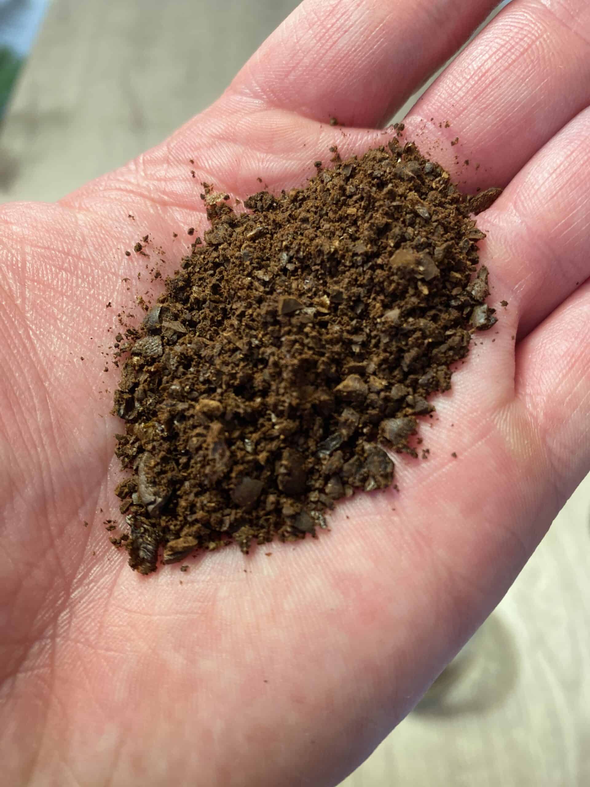 The Good and Bad of James Hoffmann's French Press Technique