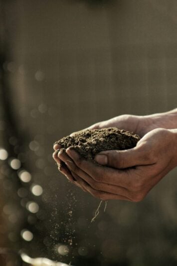 Image: Soil in hands