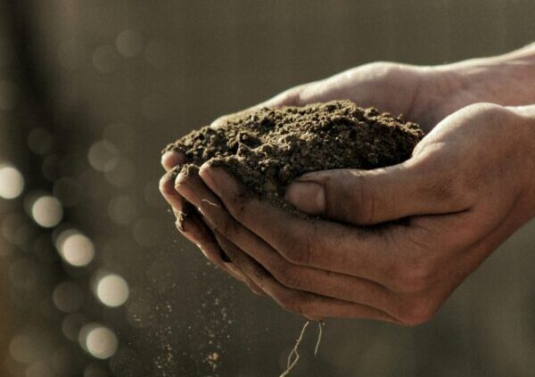 Image: Soil in hands